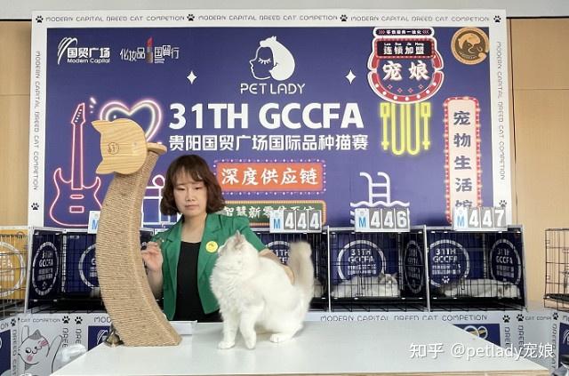 31届gccfa国际名猫展会贵阳站由宠娘品牌赞助活动圆满成功