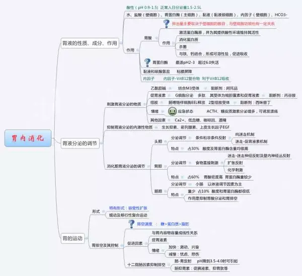 生理学 | 思维导图