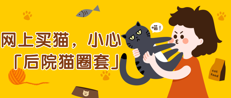 新手网上买猫小心中了后院猫的圈套