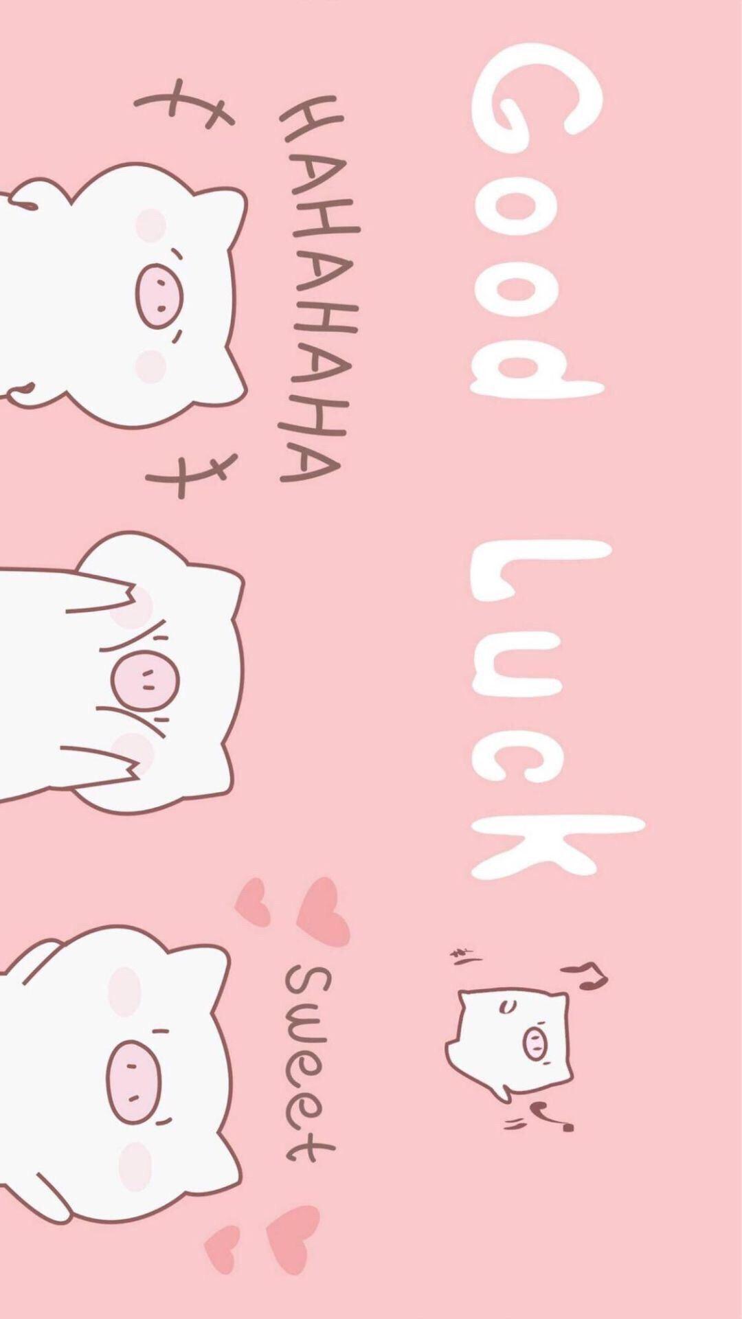 自定义壁纸 知乎