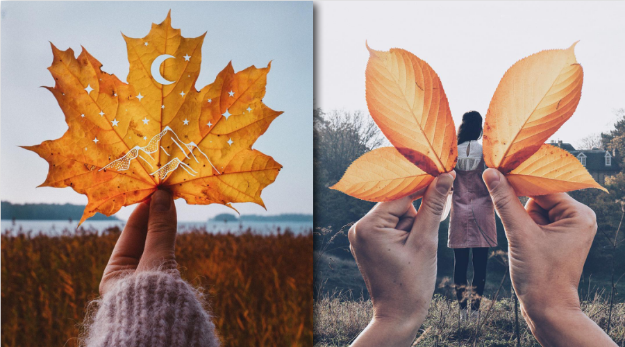 秋天落叶如何拍出创意感?5大招,绝对让你的照片眼前一亮!