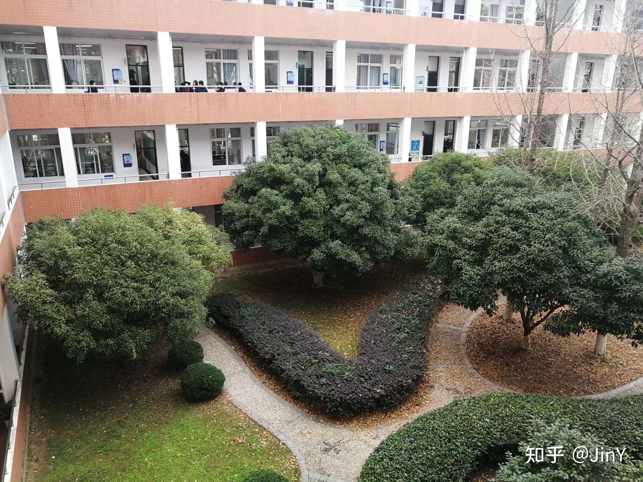 在浙江省宁波市北仑区宁波东海实验学校就读是怎么样的体验