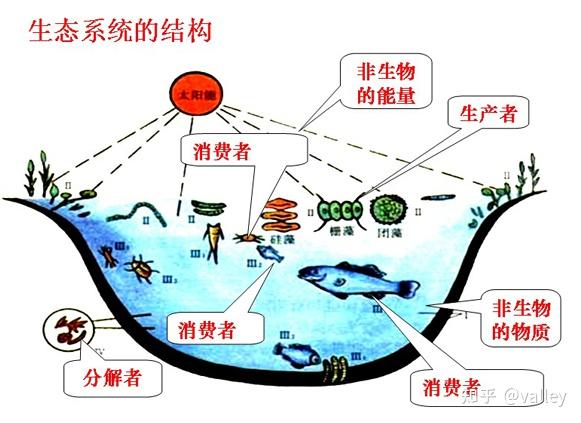 第二十八弹——人工生态系统优化算法