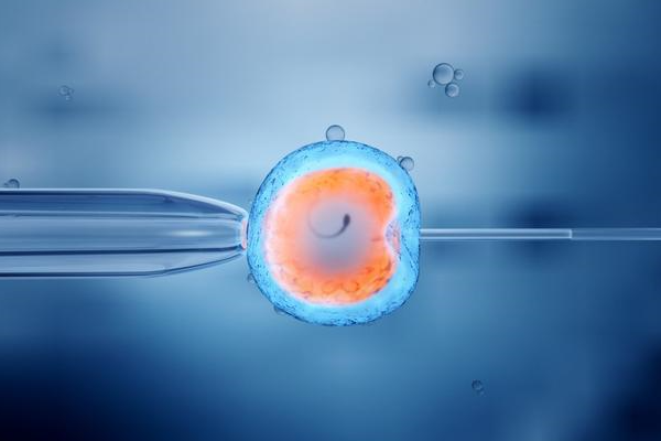 网站   试管婴儿冻胚移植就是指胚胎用特殊的方法冷冻,解冻,复苏后再