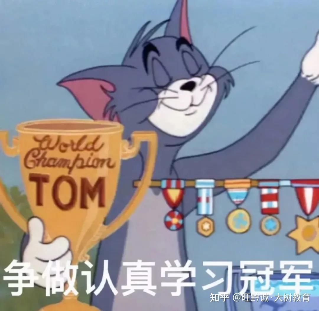 考公务员来旺黔诚·大树教育,上岸是目的,高分是追求旺黔诚·大树教育