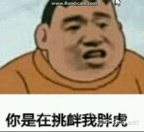 我社会胖虎,虎哥