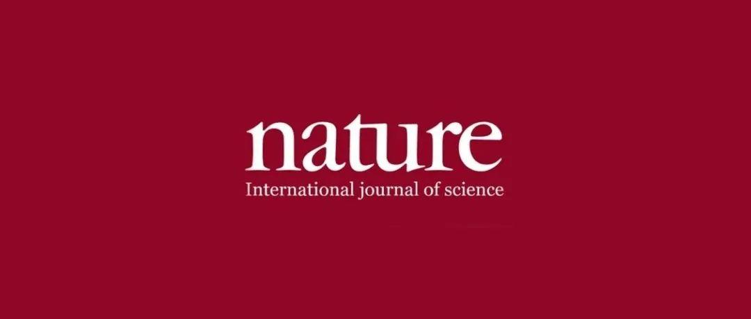 nature,spent 天大巩金龙王拓nature子刊具有高转化率的小面选择性cu膜上助力高效