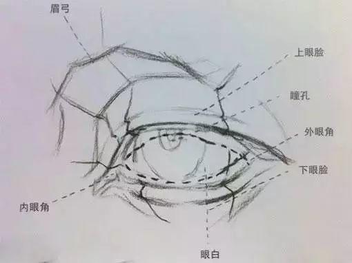 眼睛怎么画?如何画好二次元人物眼睛?