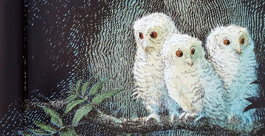 猫头鹰不睡觉时都在想什么 | owl babies 绘本解析