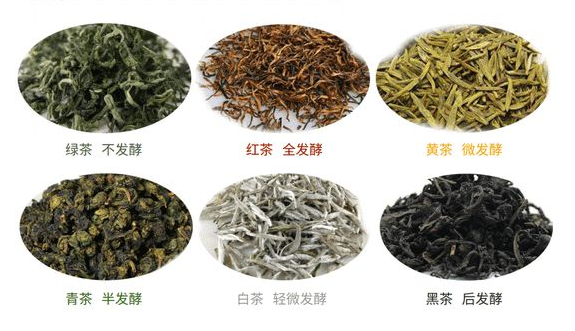 2022年茶叶推荐丨绿茶红茶白茶乌龙茶黑茶黄茶哪个茶叶品牌值得推荐