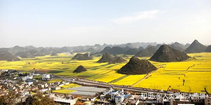 云南罗平3个最佳赏花地标罗平住宿攻略罗平住哪里好罗平住宿推荐