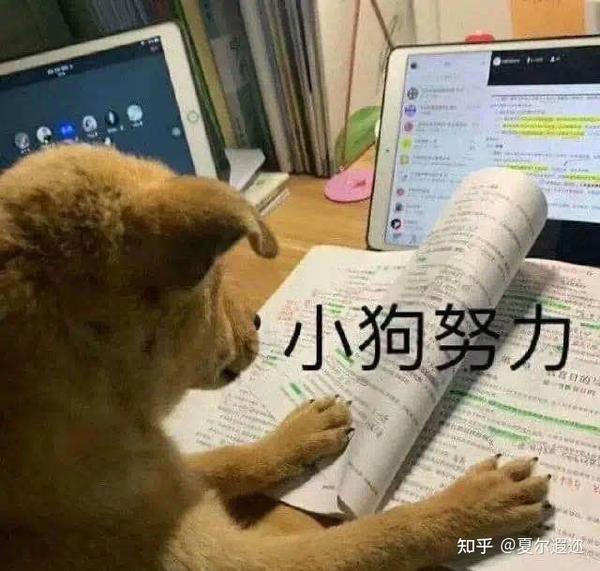 2021浙大现当代文学考研成功上岸经验