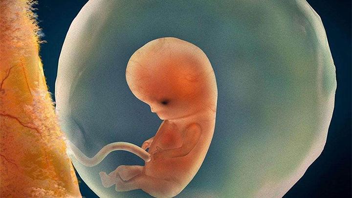 这两个月是胎儿大脑发育关键期抓住机会宝宝出生后会更聪明