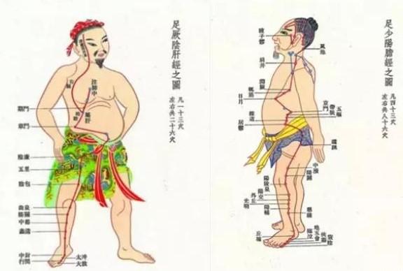 中医常说观3镜知全身屁为脾之镜胁为肝之镜踵为肾之镜