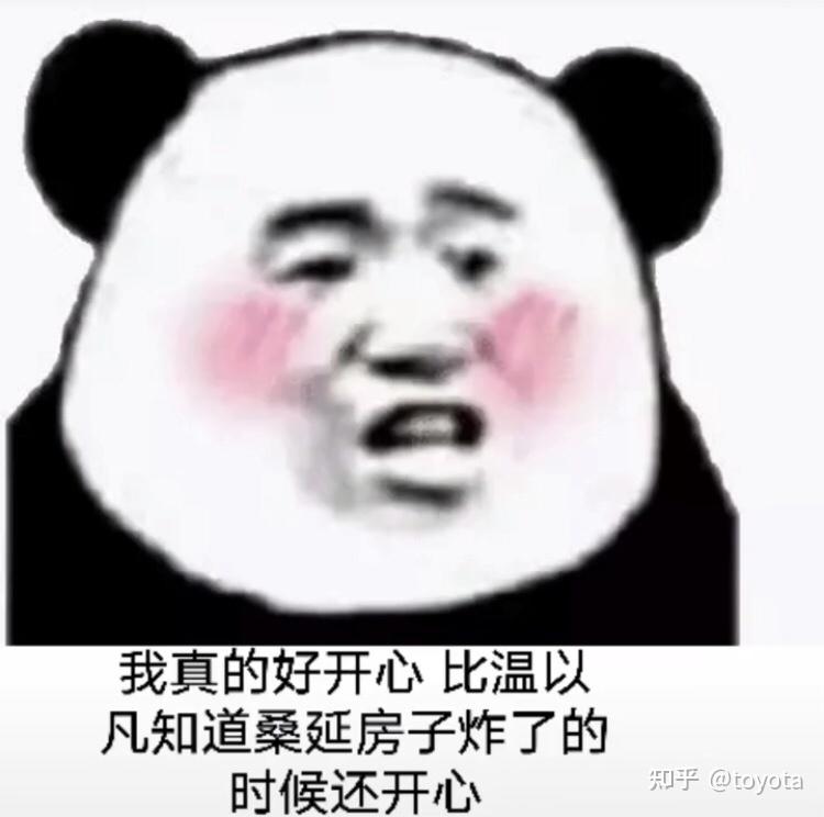 求桑延段嘉许表情包