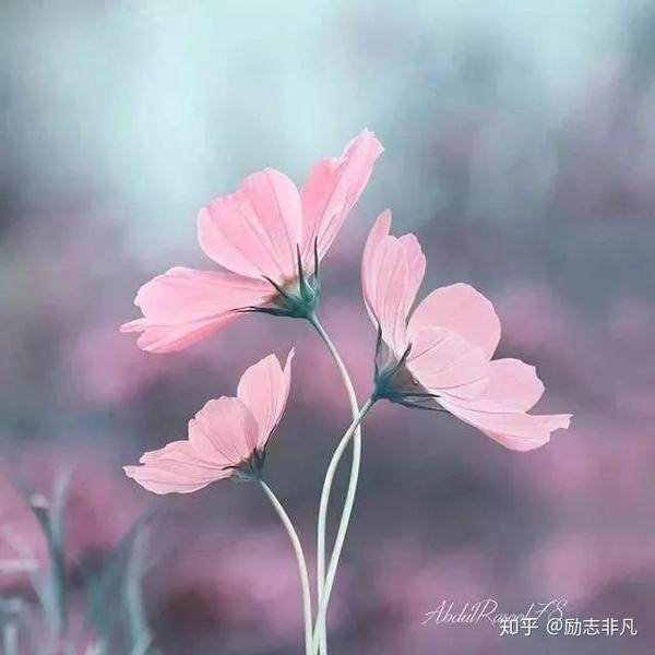 03,余生很贵,请别浪费