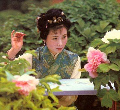 梦和新版红楼梦(第一组); 清寒莹骨肝胆醒------晴雯;; 大丫鬟鸳鸯