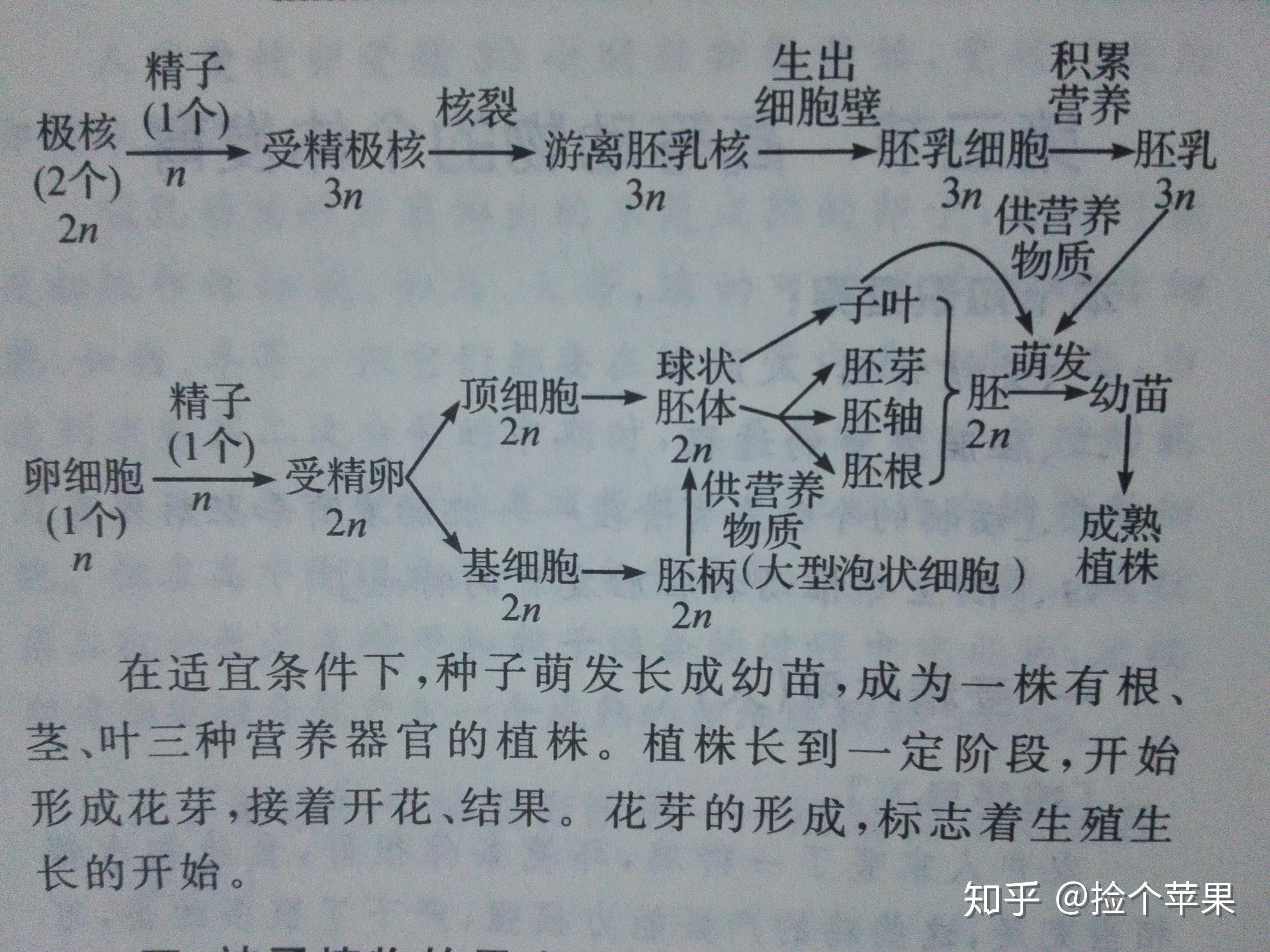 高中生物必修二回归教材第一章