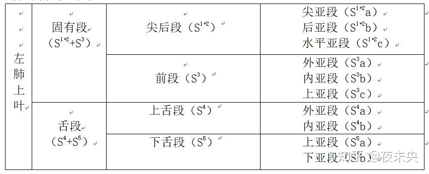 因为右肺是三个叶,左肺两个叶,左肺的舌段相当于右肺的中叶.