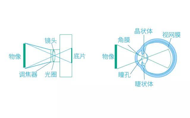 青岛近视矫正角膜塑形镜初期视力模糊