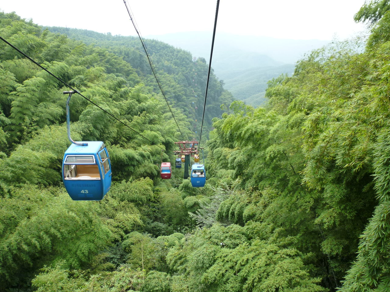 四川热门旅游景点 蜀南竹海风景名胜区旅游攻略 低音号导游