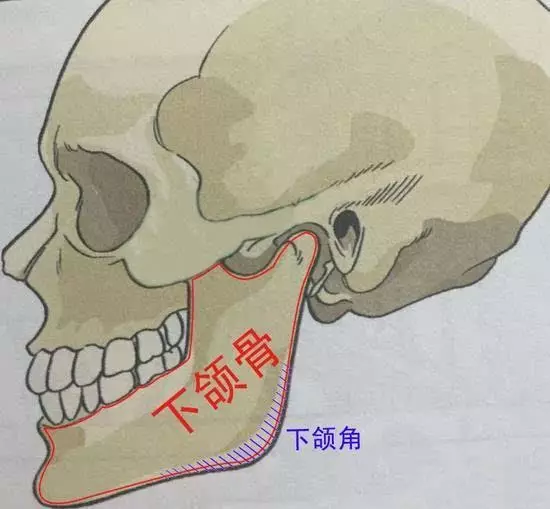 骨手术 我们现在的面部磨骨主要针对的:下颌角  颧骨 下颌角正常角度