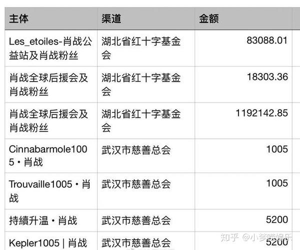 肖战粉丝团捐助武汉