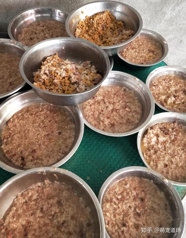 萌宠道场:大家来看看我是怎么制作狗狗饭食物的