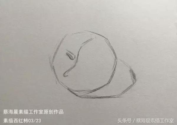 蔡海晨素描步骤稿12—素描西红柿的画法