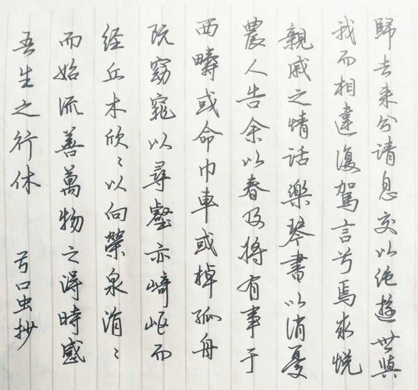 陶渊明《归去来兮辞》手写钢笔字笔友钢笔书法习作欣赏