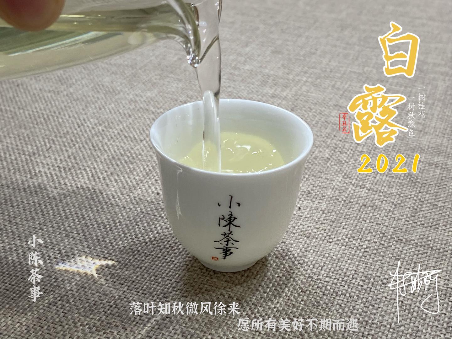 2021年的秋白茶无论白露茶秋分茶寒露茶都有哪些特征呢