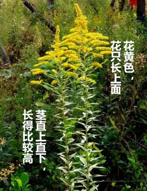 v2 e750d7c3796725a3ac3664be858fd033 720w