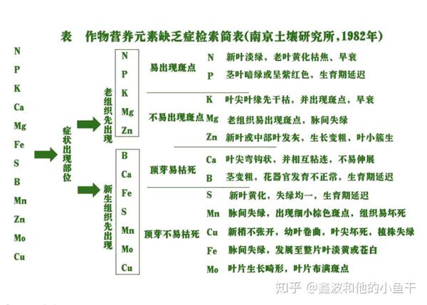 植物矿质营养与亏缺症状