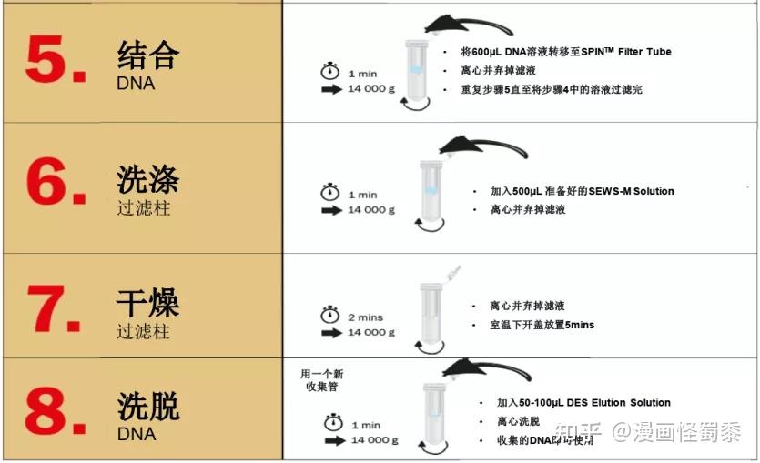 核酸提取6粪便dna提取