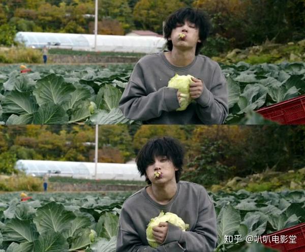 如何评价电影《奇妙的家族》:植物大战僵尸"真人版",史上最蠢萌的丧尸
