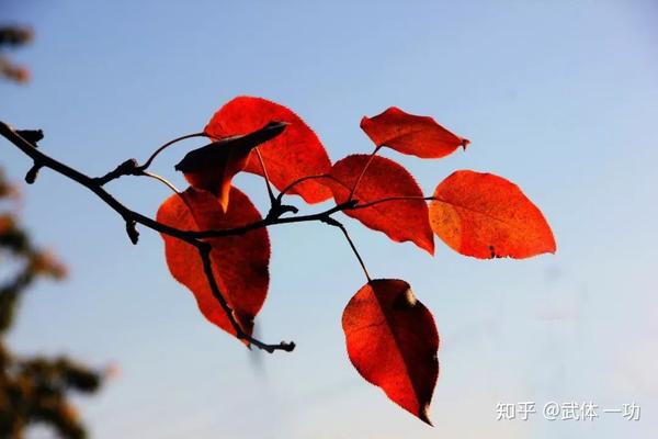 一月:柳月,端月,嘉月二月:杏月,丽月,花月三月:桃月,蚕月,莺月四月