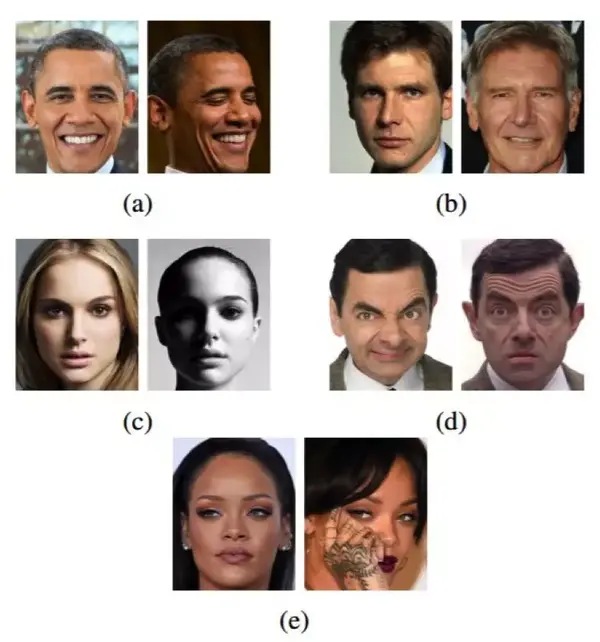 (a)头部姿势,(b)年龄,(c)光照,(d)面部表情,(e)遮挡