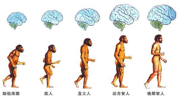 1万至5万年前,这是晚期智人的时代,也就是所谓现代人的祖先.
