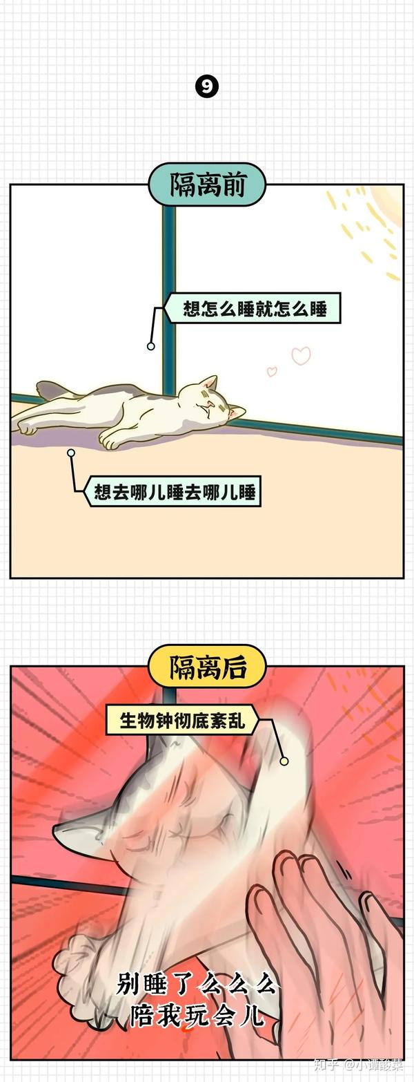 你们太过分了,我一只纯血喵,生生被你们整成了晚上睡觉,白天清醒,omg