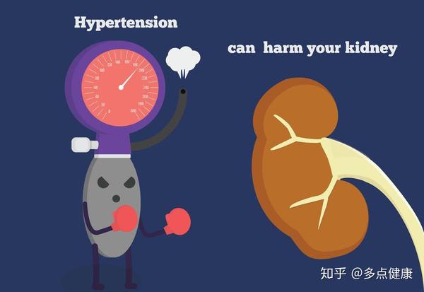 高血压肾病和肾性高血压是一回事吗?