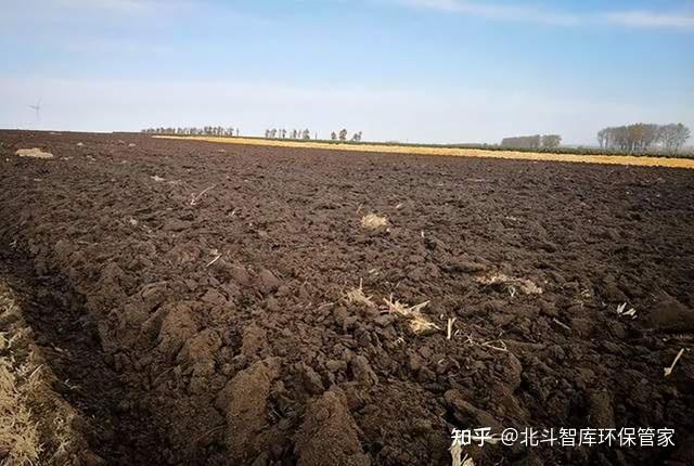 没有买卖就没有倒卖伸向黑土地的黑手几时休