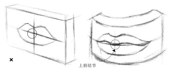 素描入门 石膏嘴巴的画法步骤分析