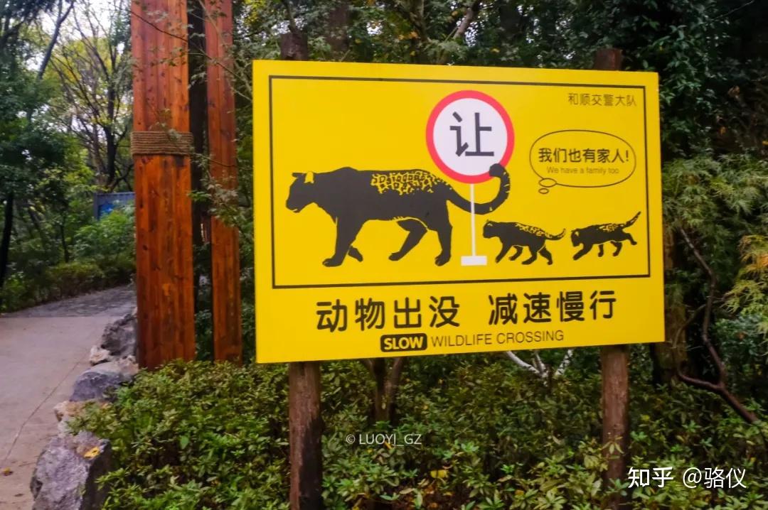 如何看待2020年南京红山动物园疫期亏损3000万国内其它动物园运营情况