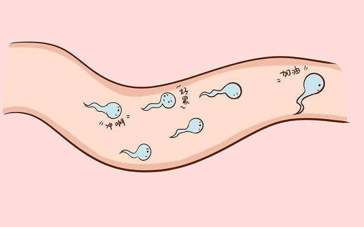 华孕宝:精子活力差吃药怀孕还是做试管婴儿