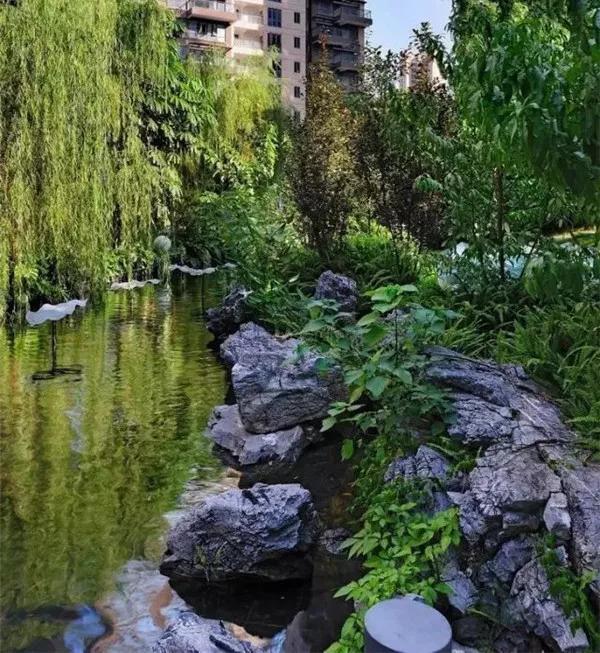 景观学习生态驳岸的设计及应用