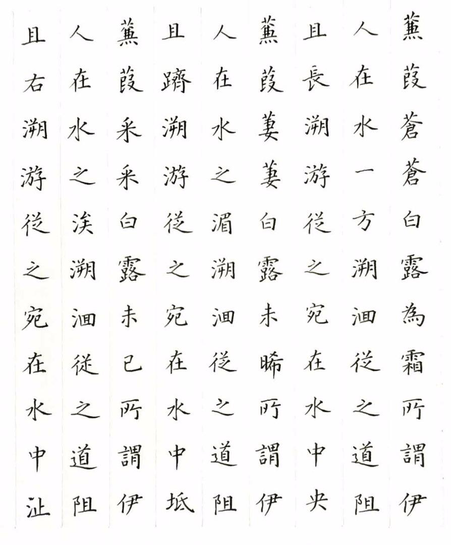 诗经《蒹葭》钢笔字笔友习作欣赏