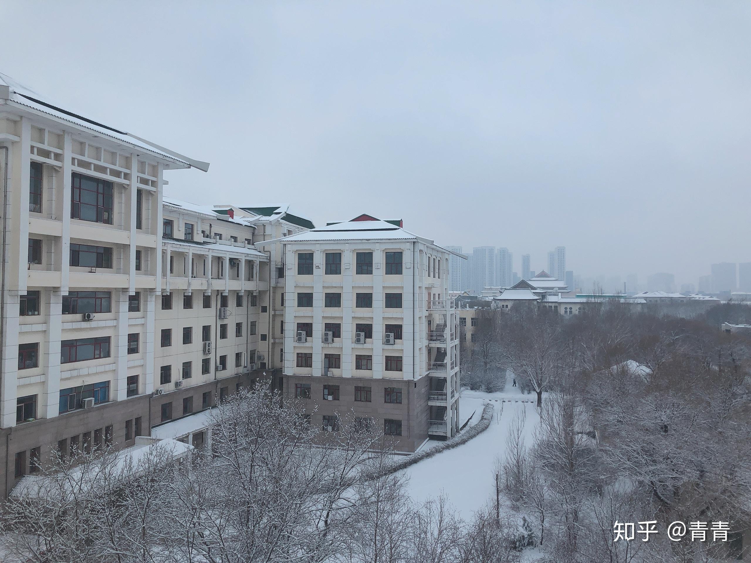 谁能发点哈医大宿舍内景以及楼道教室等照片或视频 我想看看哈医大