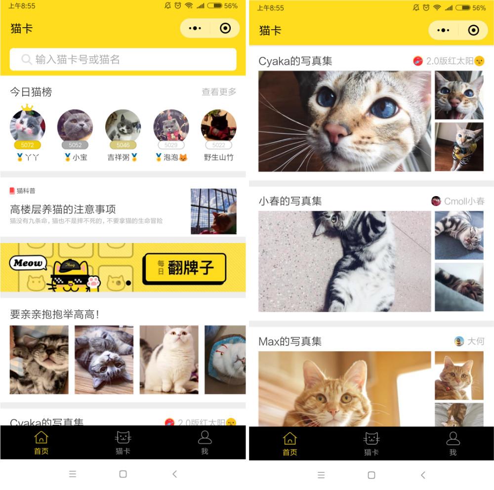 近日,专注猫咪社区的微信小程序「猫卡」宣布完成天使轮融资,获得了