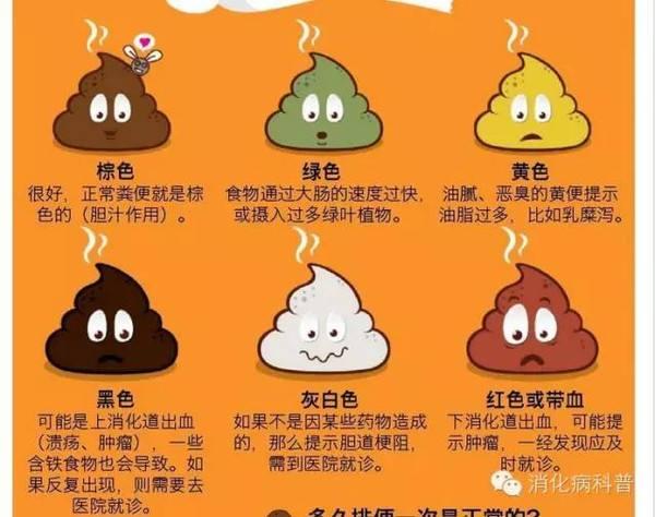 是,腹泻非常不容易彻底好,往往用蒙脱石散止泻药1天后大便会恢复正常
