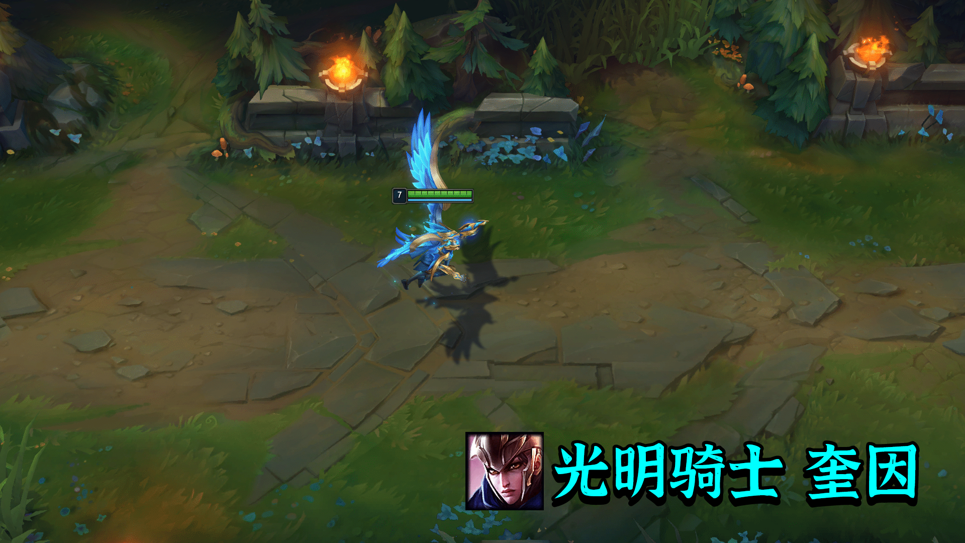 lol【新皮肤】黑暗骑士 卡莉斯塔 皮肤预览